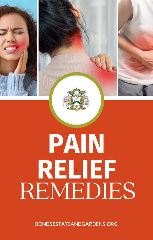 Pain Relief Remedy Ebook