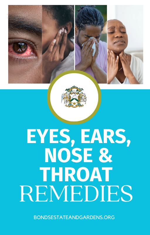 Eyes, Ears, Nose and Throat Remedy Ebook