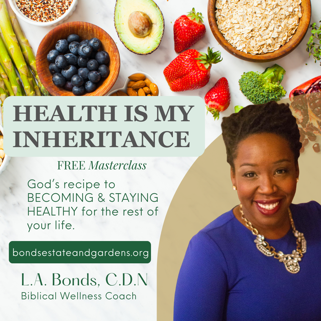 40 Day Exodus Program