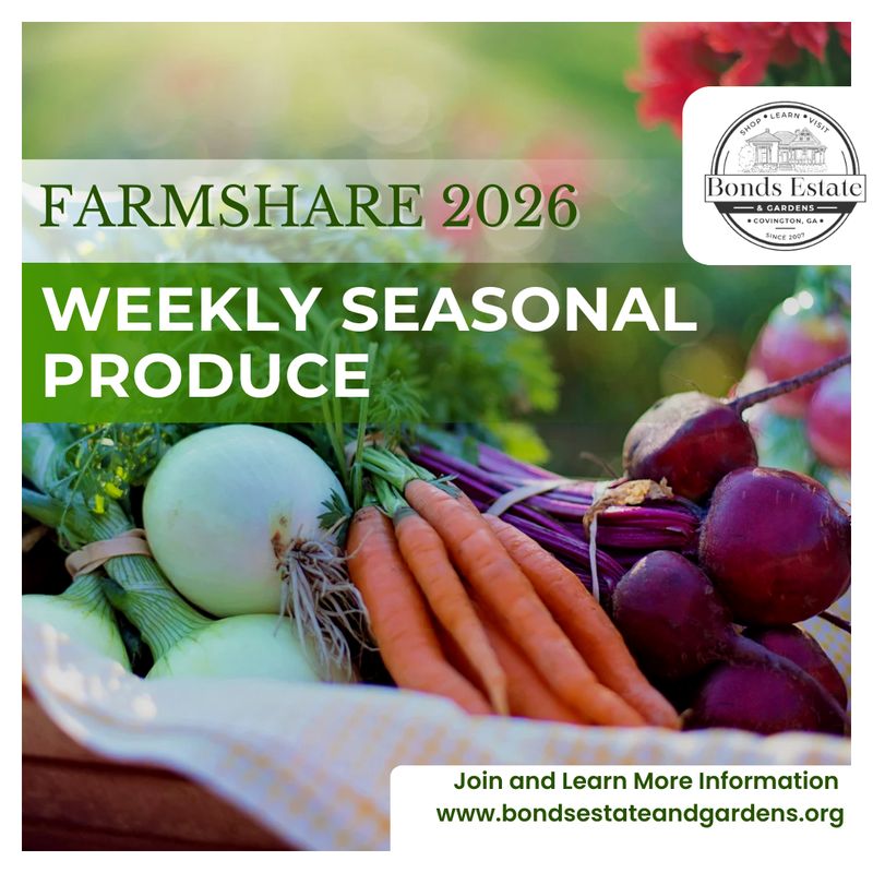 Small FarmShare (Feeds 2-4 people)