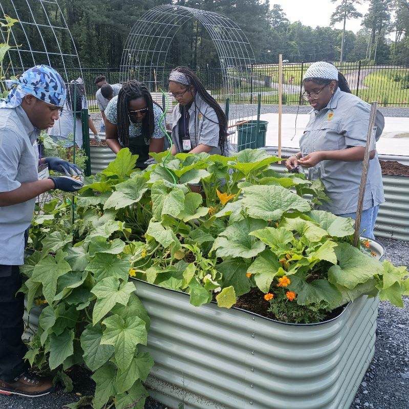 Rescheduled Beginners Gardening Class