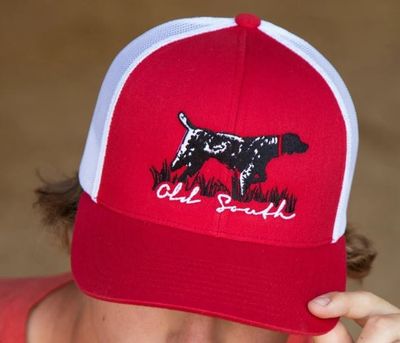 Pointer Trucker Hat