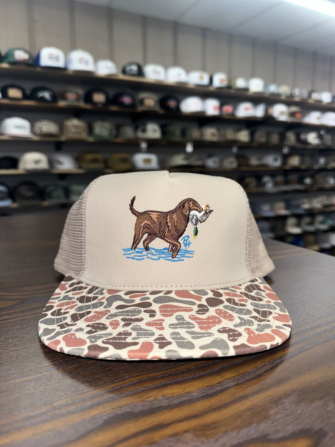 Lab &amp; Mallard Camo Bill High Profile Hat