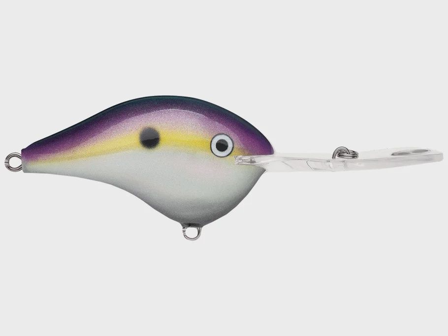 DT-20 Crankbait, Color: Big Shad