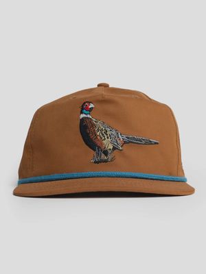 Pintail Pheasant Hat