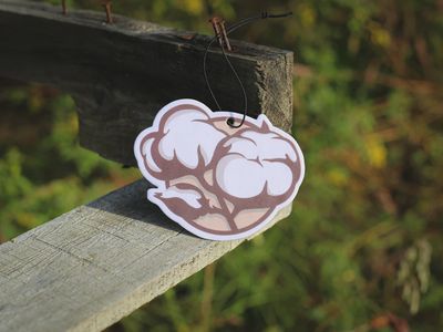 Cotton Sandalwood Scent