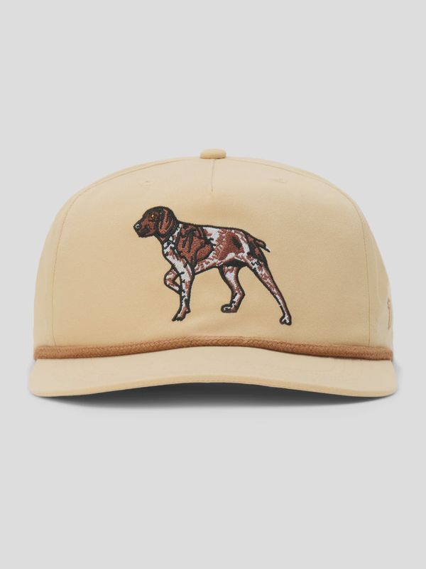 Pointer Hat - Croissant