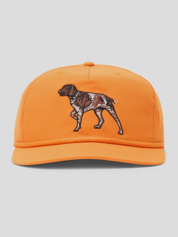 Pointer Hat - Blaze
