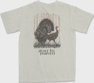 Strut Short Sleeve T-Shirt - Cream