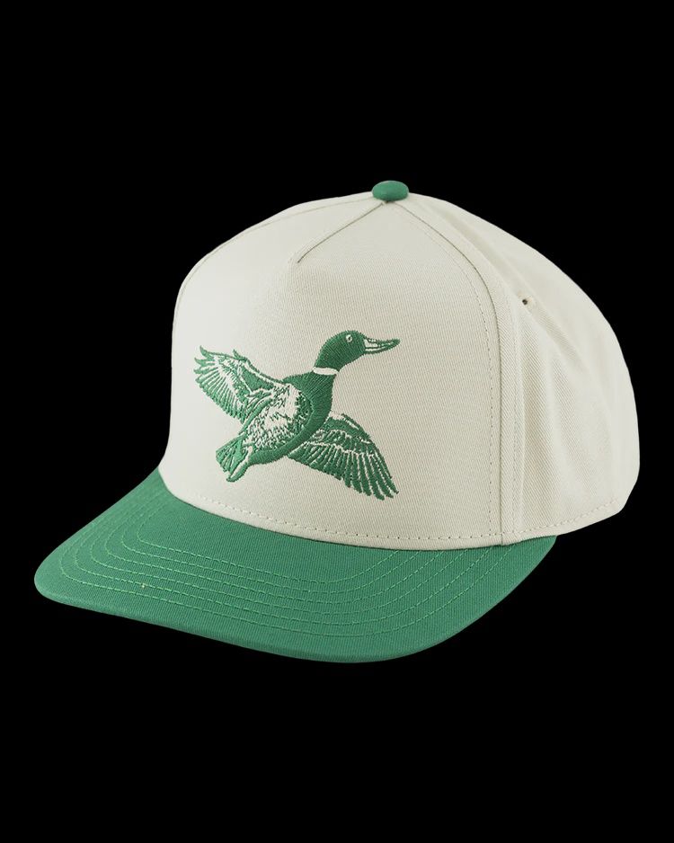 Flying Drake Hat - Gray/Green