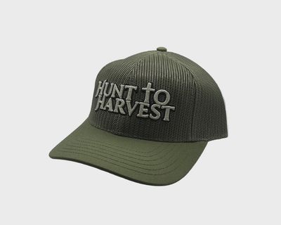 Olive Logo Collection Hat