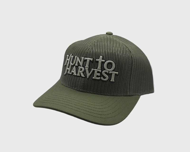 Olive Logo Collection Hat