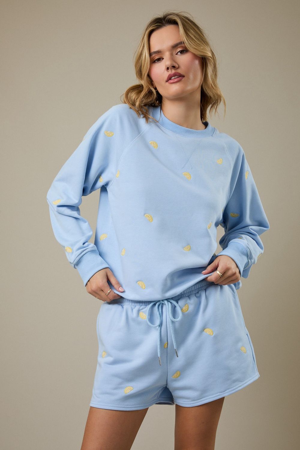 Lemon Embroidered Pullover - Light Blue