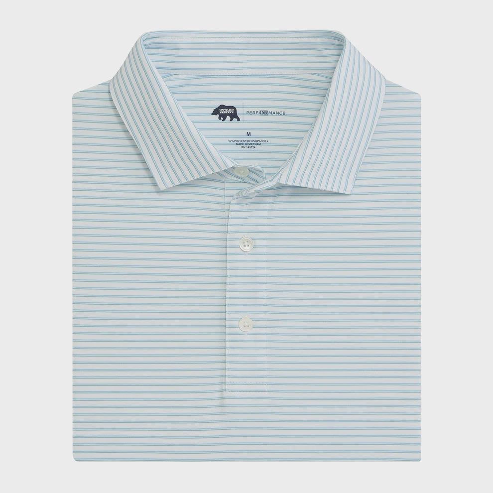 Scout Stripe Performance Polo - Dutch Canal