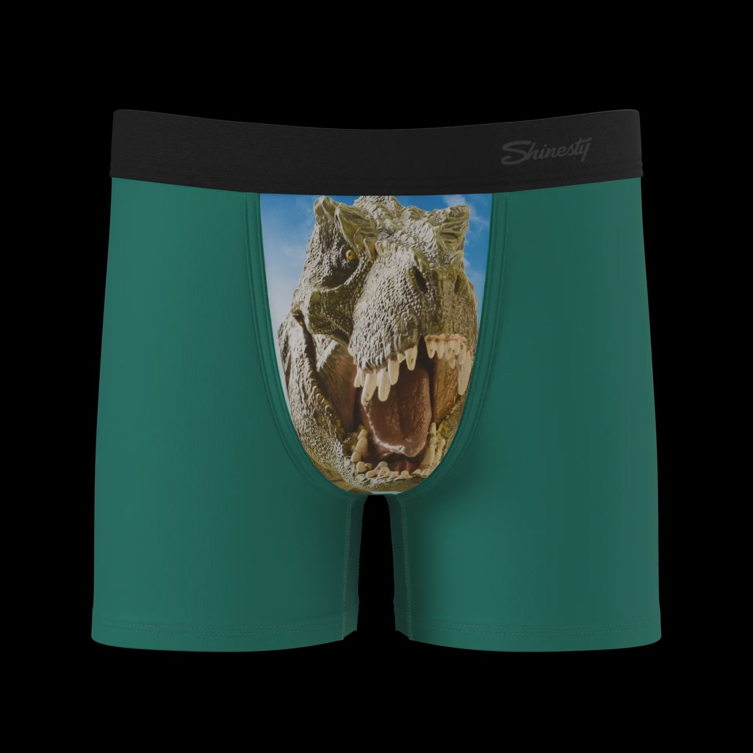 The Mad Lizard - Dinosaur Boy's Boxer Briefs