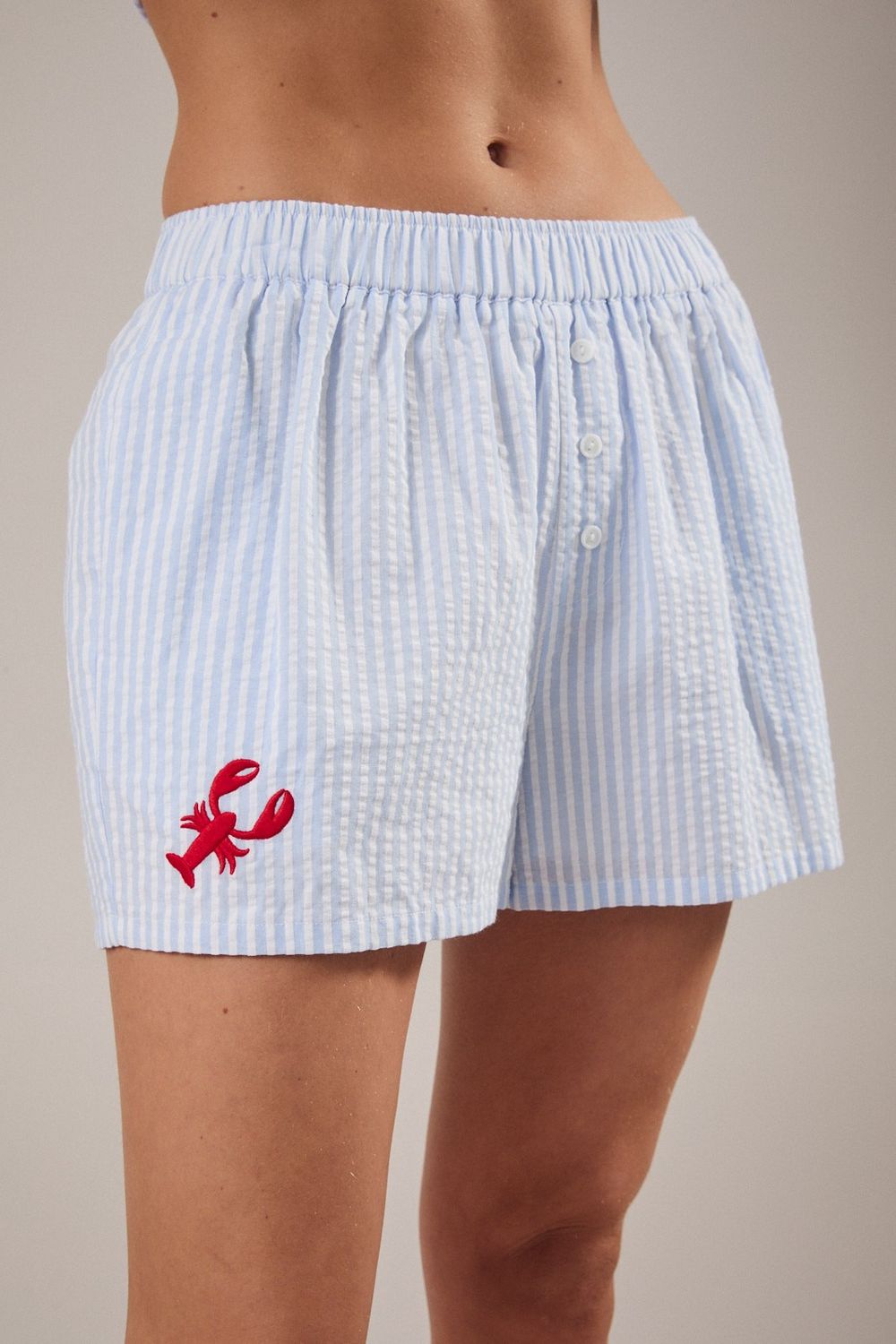 Lobster Embroidered Boxer Shorts - White/ Blue Stripe