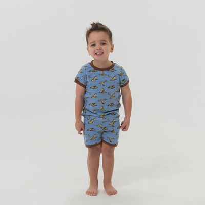 Youth Sleep Short Set - Jumbo Mallards Blue