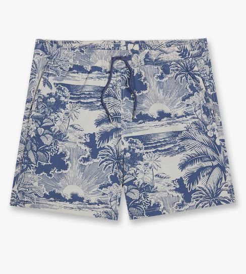 Men's Bungalow Trunk - Silver Palms