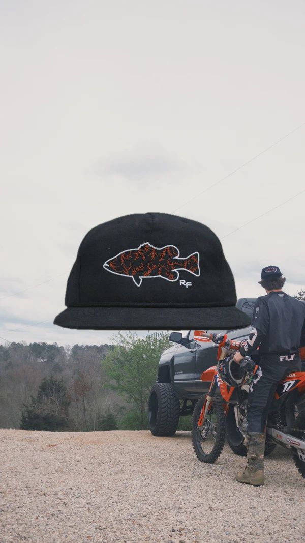 Georgia State Lakes - Black