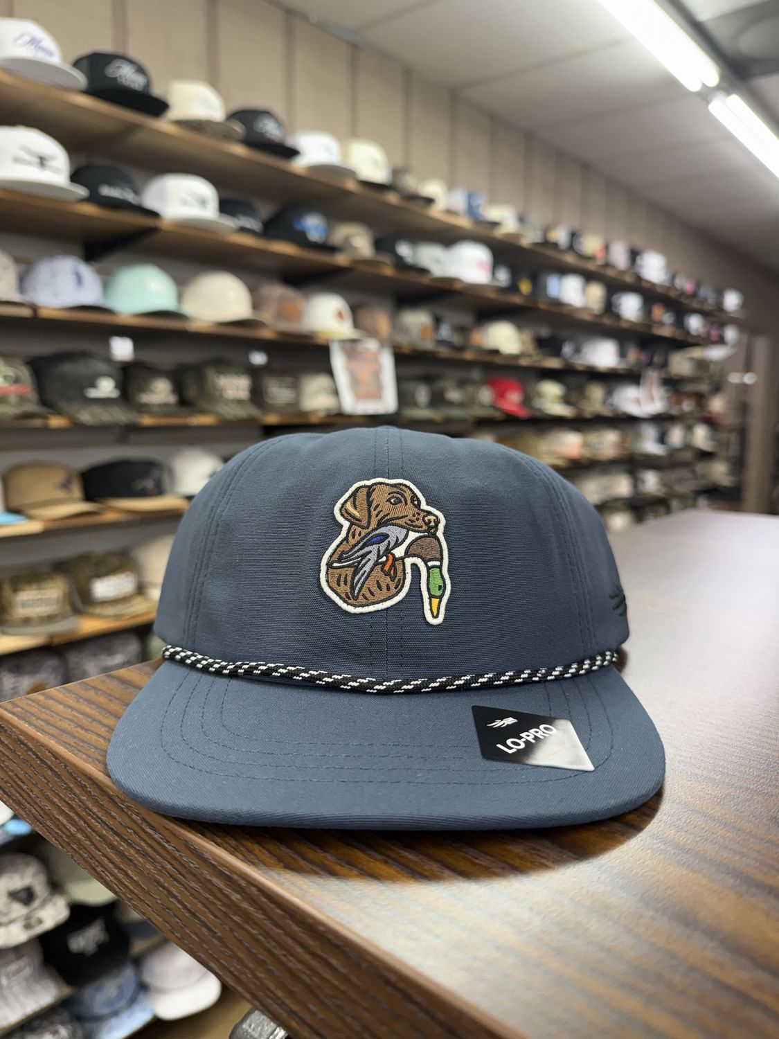 Chocolate Lab Species Unstructured Snapback - Midnight Blue