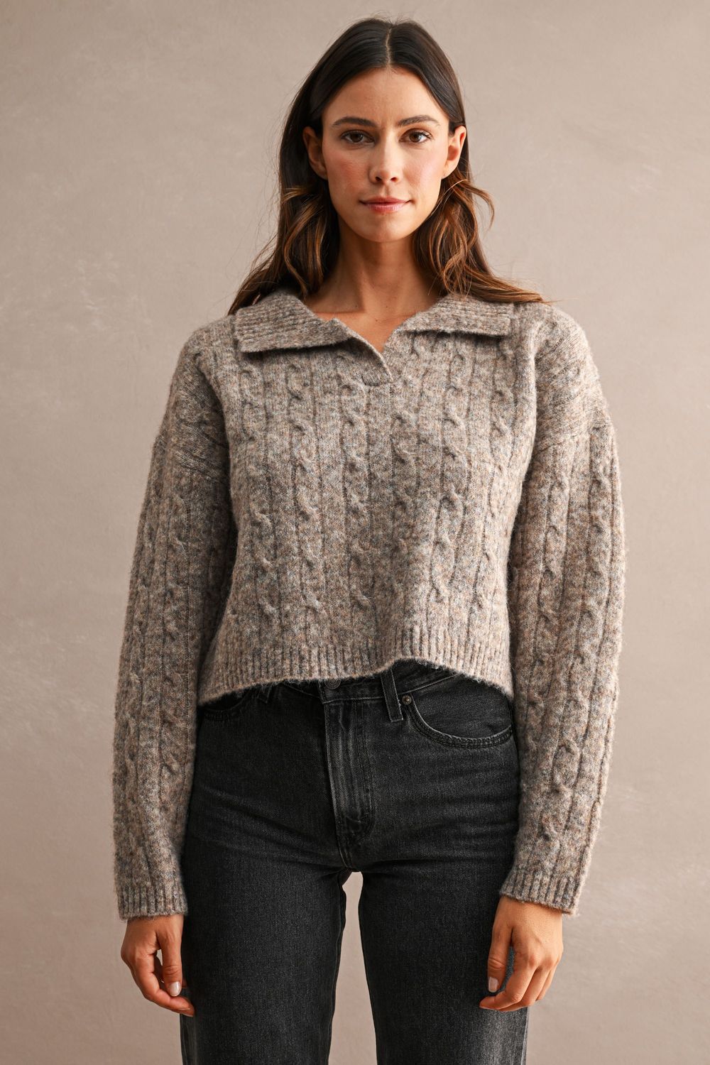 Compliments Collared Cropped Sweater - Mocha