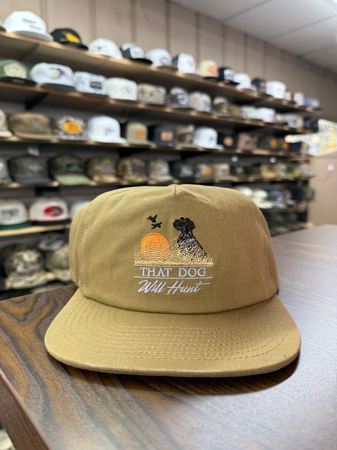 That Dog Will Hunt Wirehair Hat