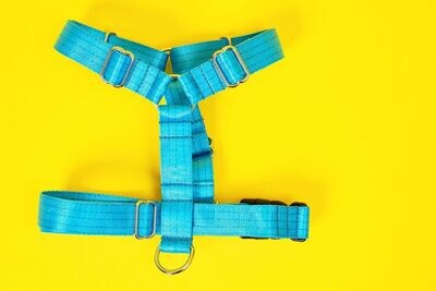 Dog Leads & Harnesses