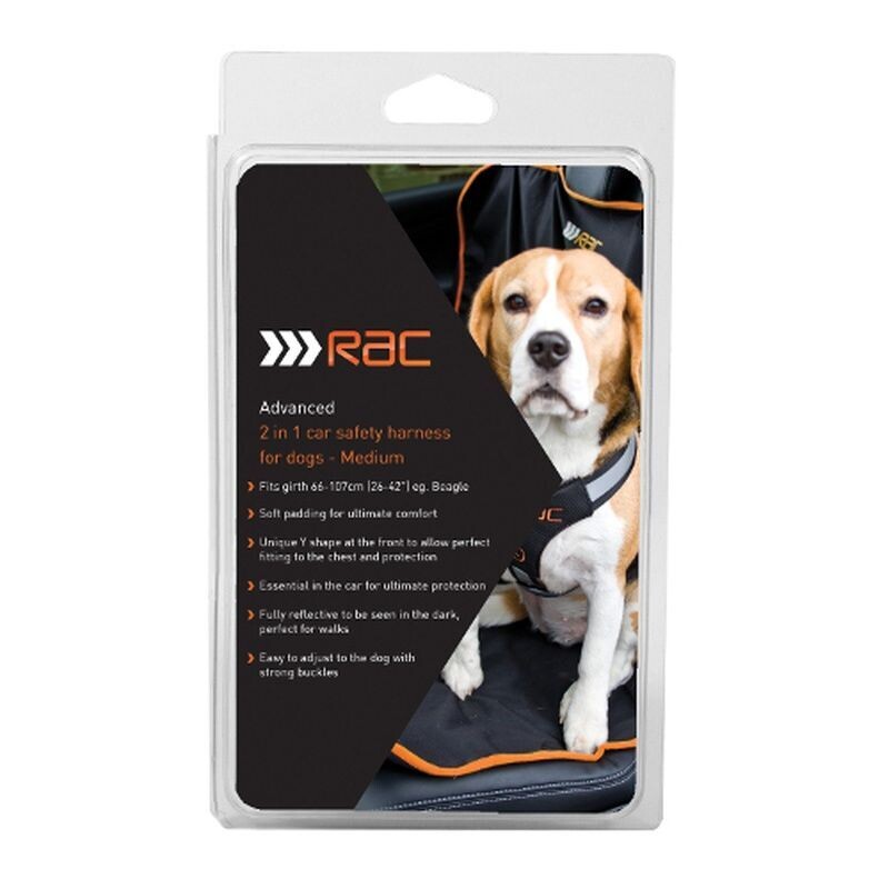 RAC Car Harness 2 in 1 Medium