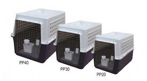 PP20 Airline Carrier