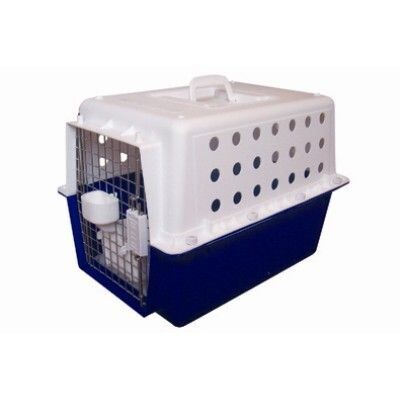 PP30 Airline Carrier