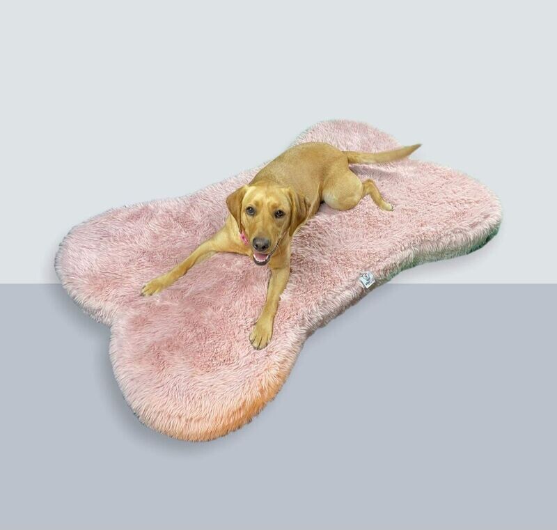 Bone Shape Memory Beds Pink or Grey