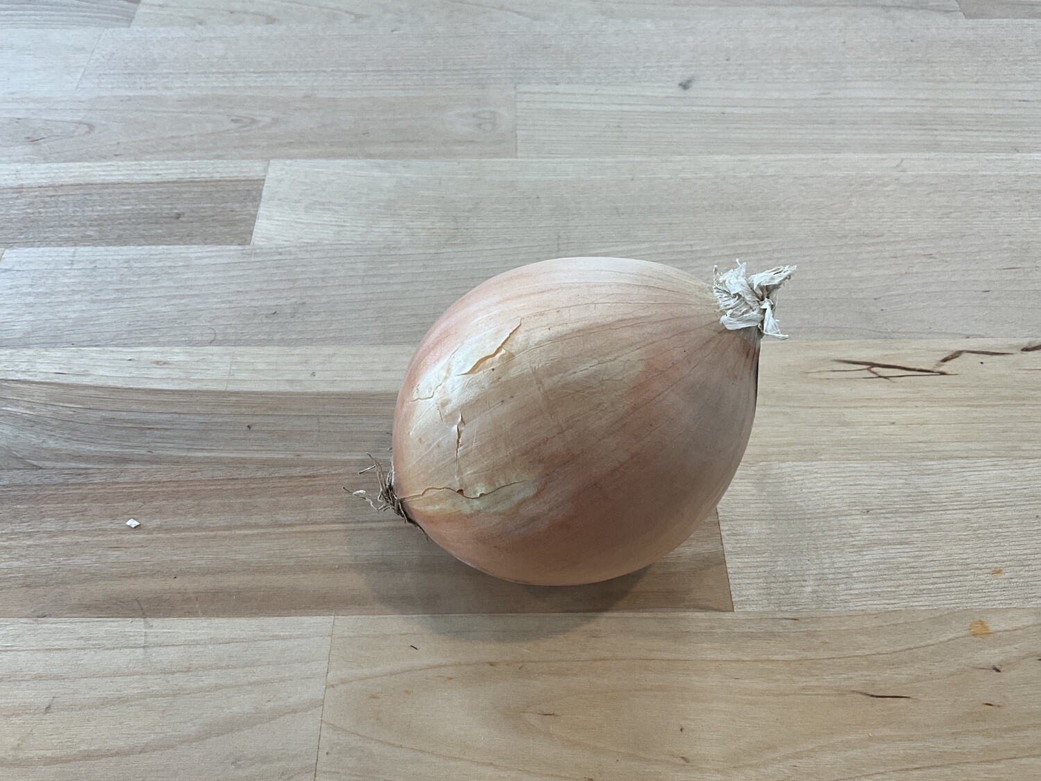 Onion