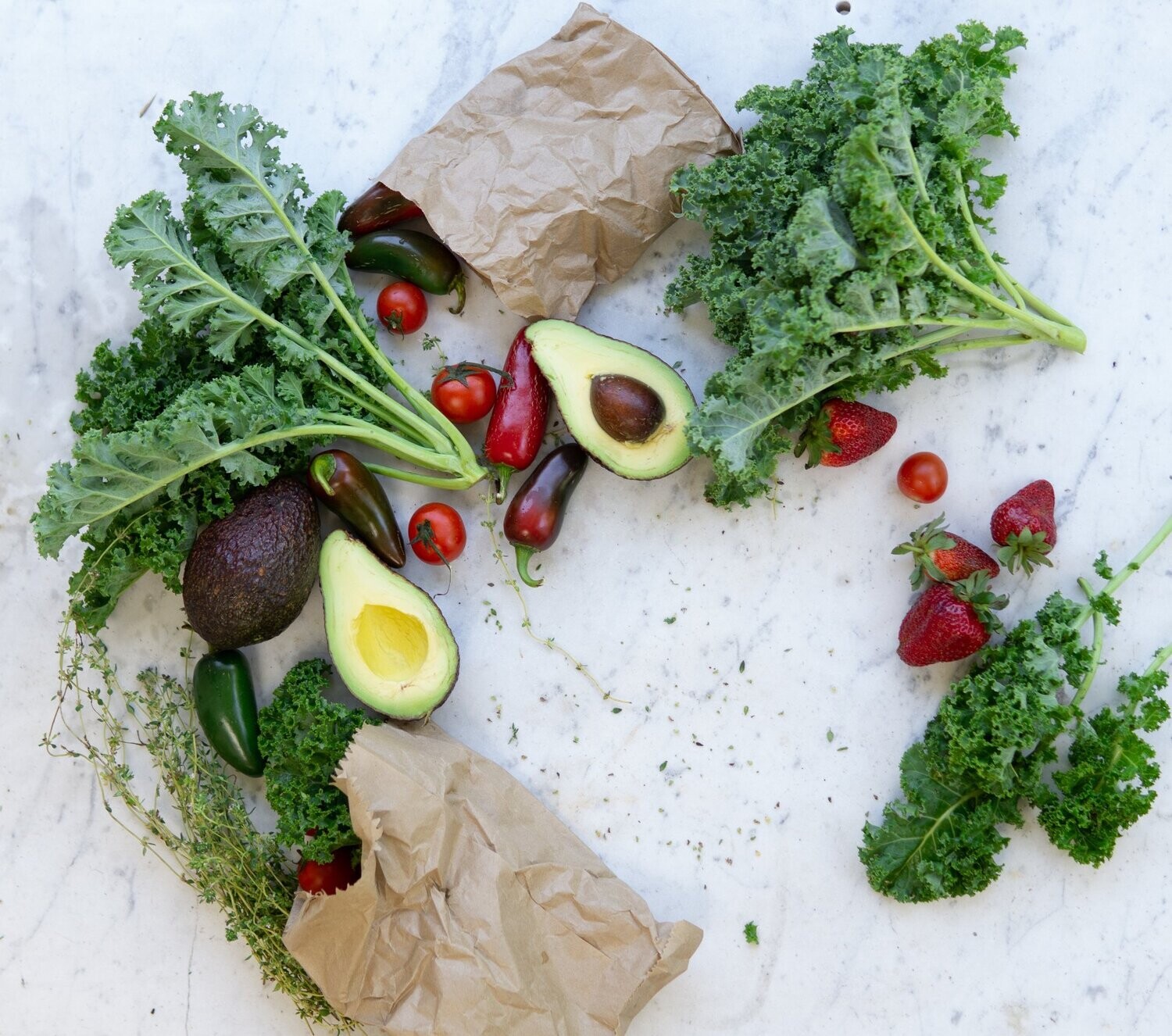 16-Week Nutrition Coaching Plan and Training Plan