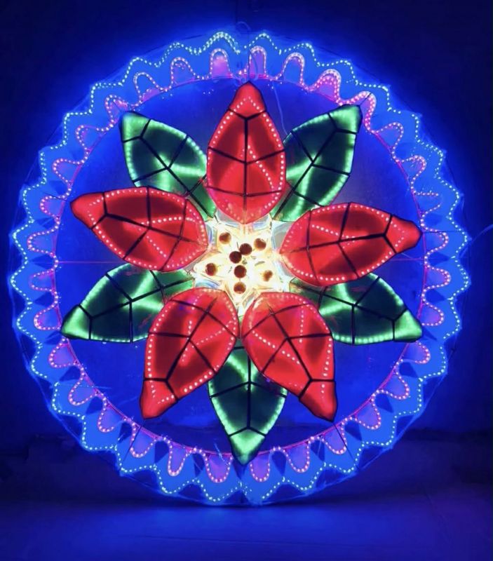 24in Parol