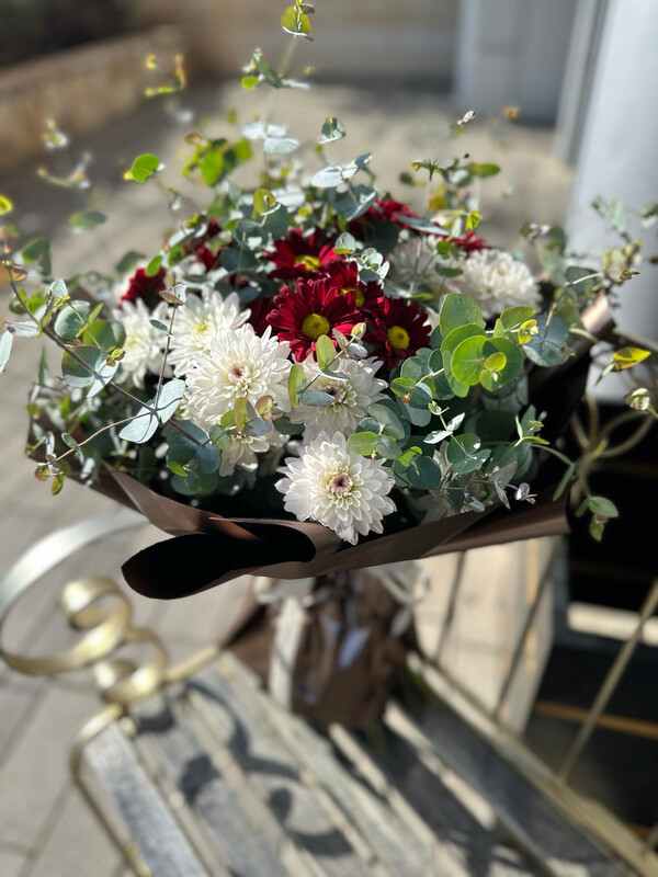 פצצה של חרצית