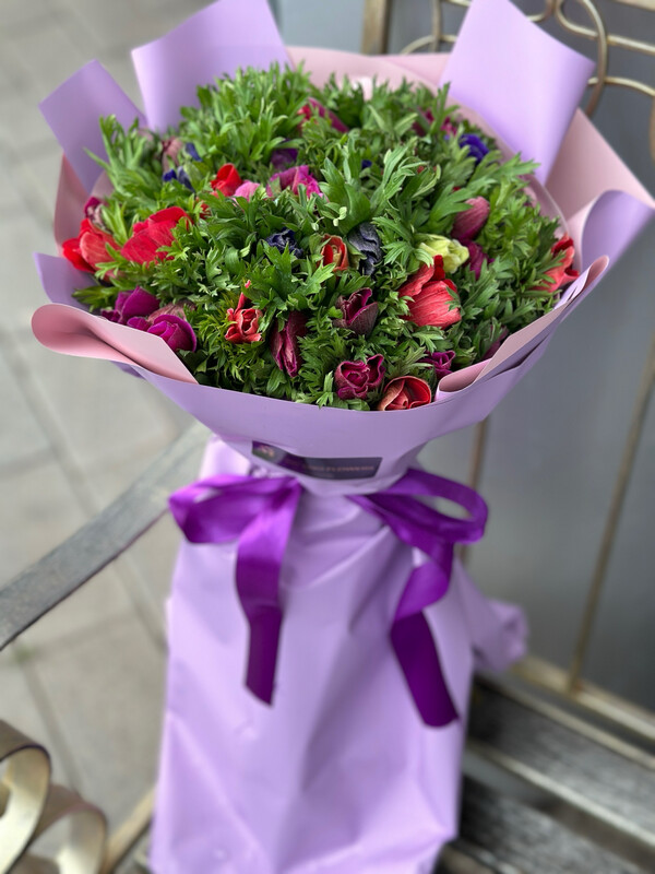 בוקה כלניות