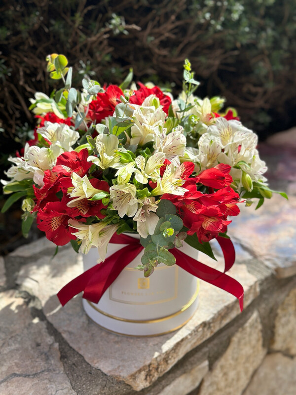 פלאוור בוקס L