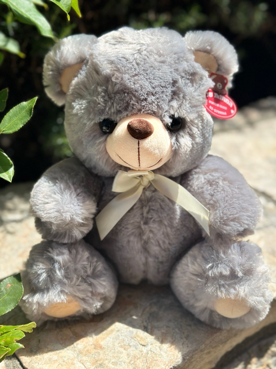 דובי  סתם ככה