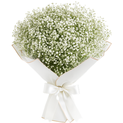 פריחה לבנה קוד מוצר 150