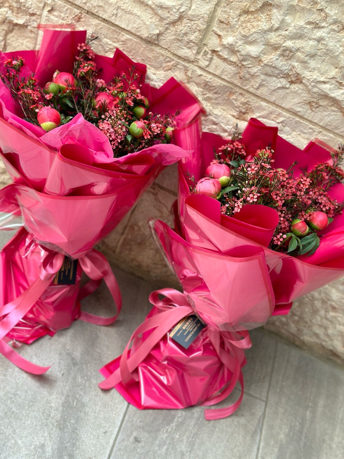 פיונים זמין במיידי להיום/מחר 14/2/26