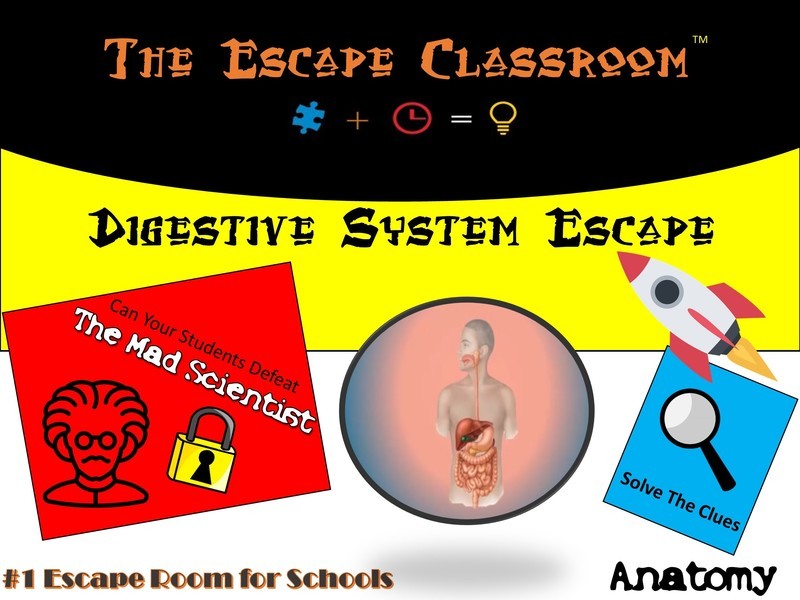 Anatomy: Digestive System Escape (1 Teacher License)