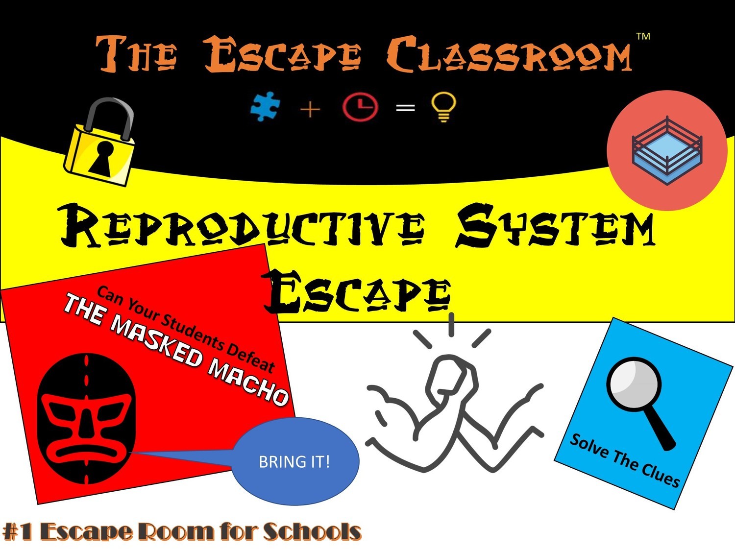 Anatomy: Reproduction System Escape (1 Teacher License)