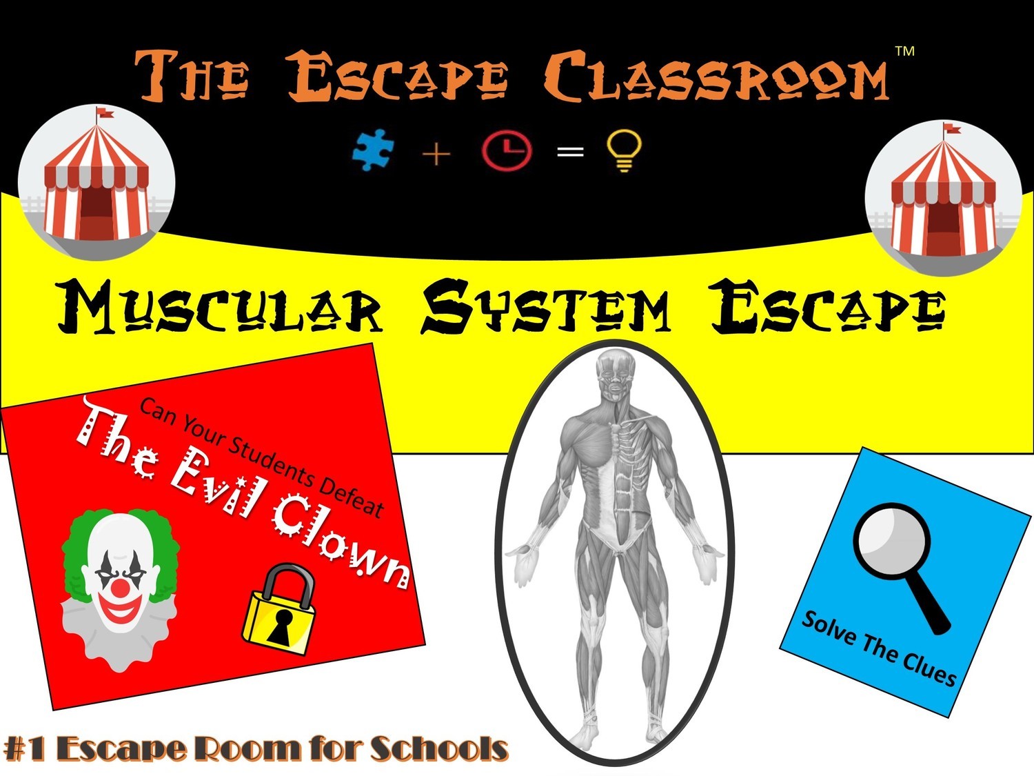 Anatomy: Muscular System Escape (1 Teacher License)