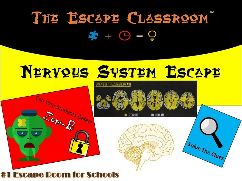 Anatomy: Nervous System Escape (1 Teacher License)