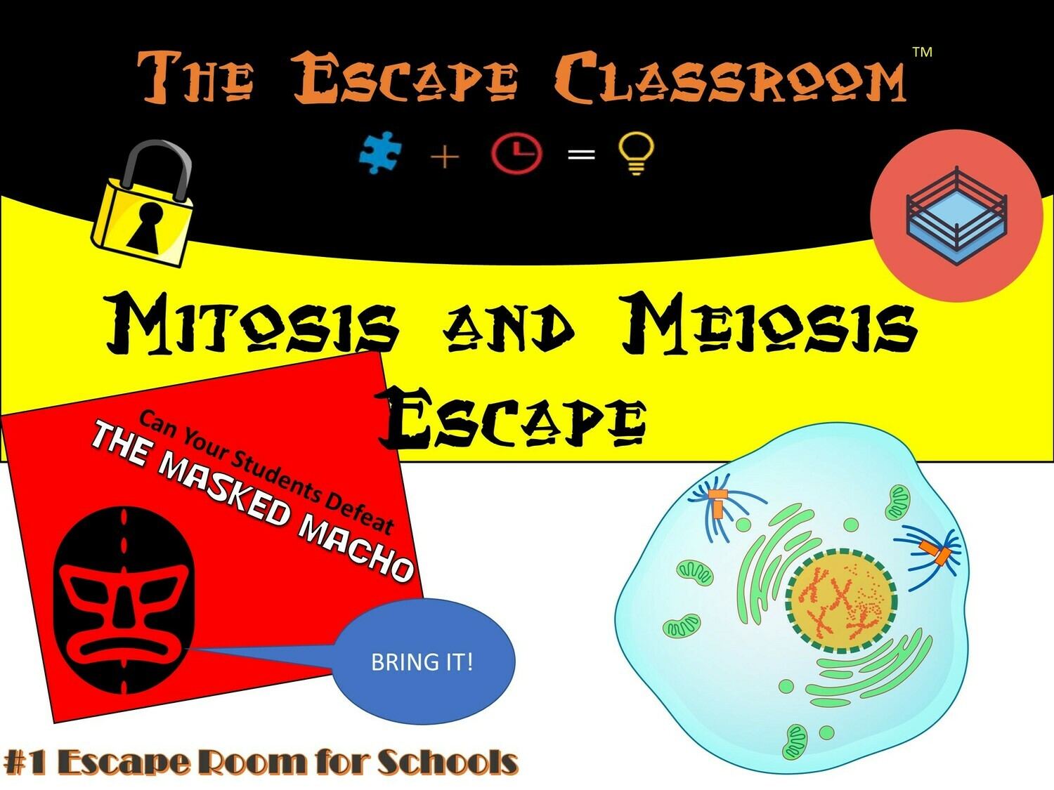 Mitosis and Meiosis Escape  (1 Teacher License)