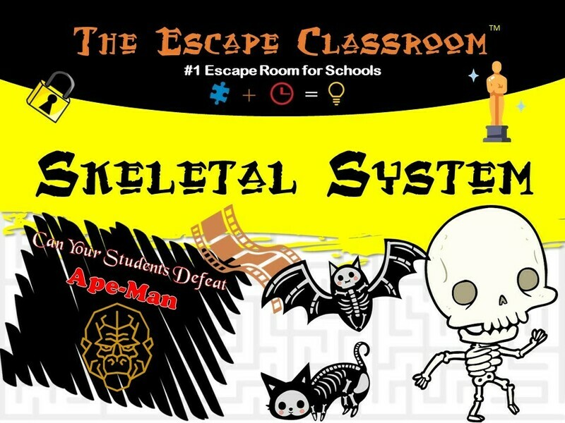 Anatomy: Skeletal System Curriculum (1 Teacher License)