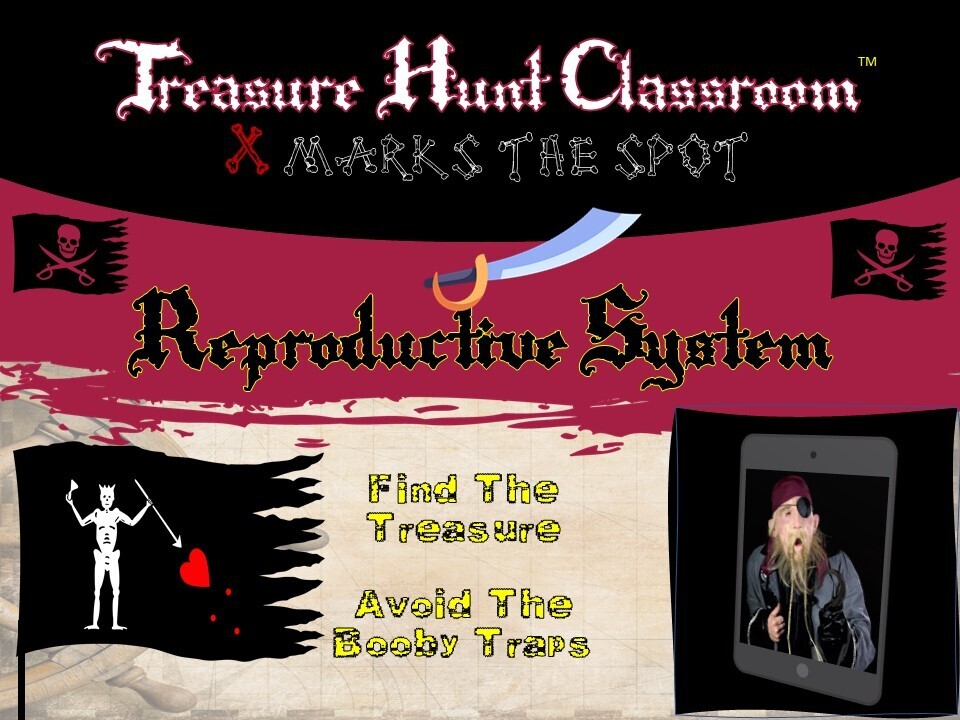 Anatomy: Reproduction System Treasure Hunt (1 Teacher License)