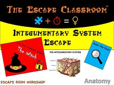 Anatomy: Integumentary System   (1 Teacher License)