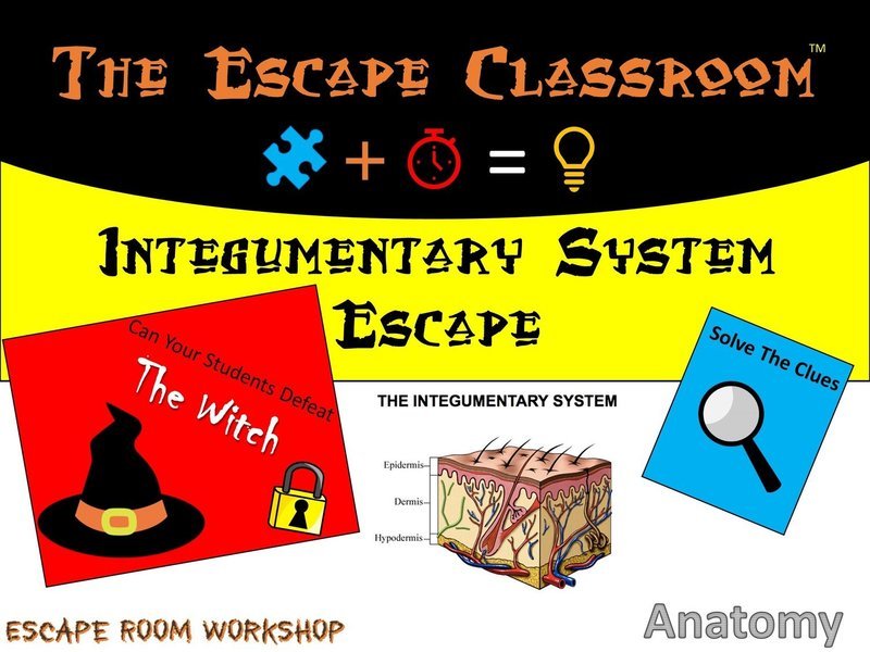 Anatomy: Integumentary System   (1 Teacher License)