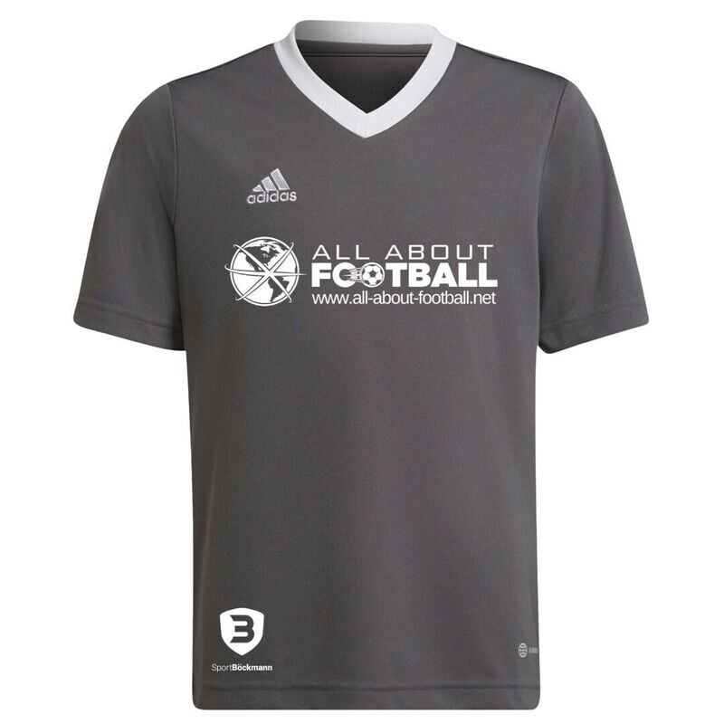 Adidas Entrada 22 Trikot grau mit AAF Logo Adidas Entrada 22 Trikot grau mit AAF Logo